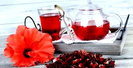 hibiscus băutură