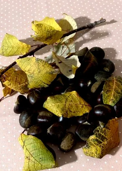 pentru castane