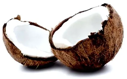 dieta