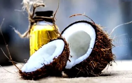 cocos cocos