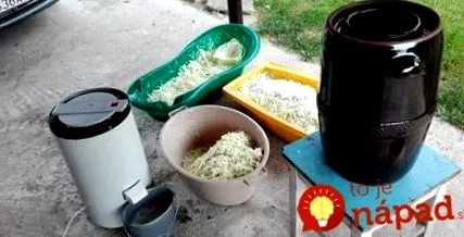 sănătate varză