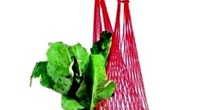slovacă