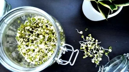 sprouts trucuri