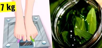 kilogramele prieten