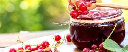 касис касис