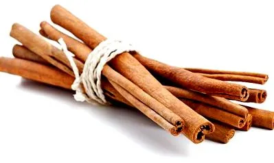 cinnamomum