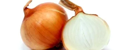 bucătărie ceapa