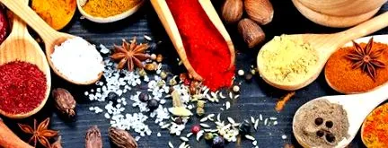 programul metabolic balance®