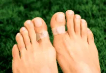 inele magnetic