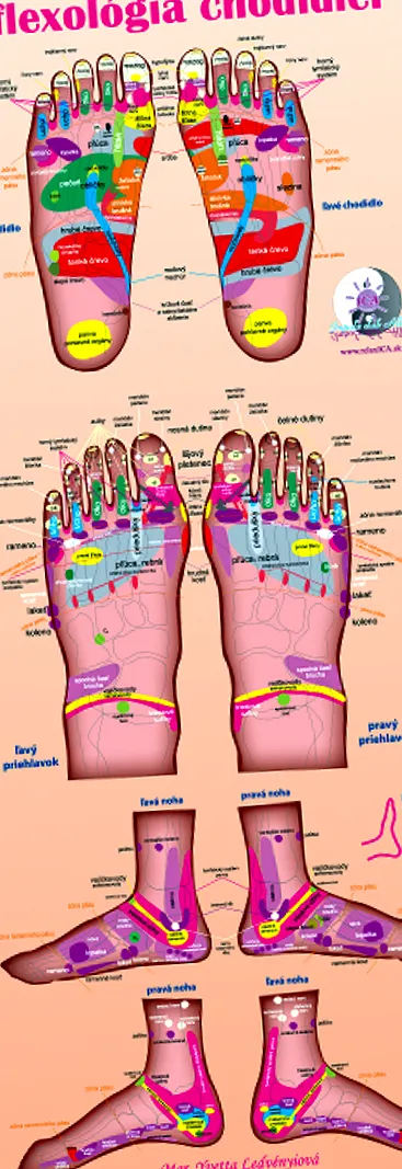 harta reflexe