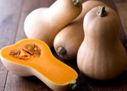 здравословни