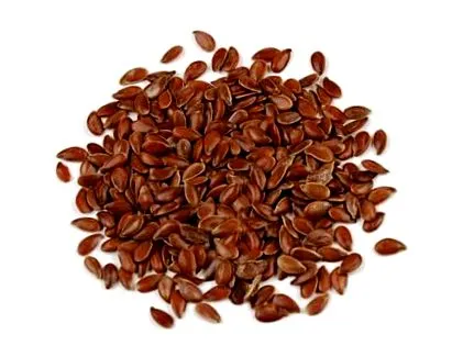 grizly lifefood