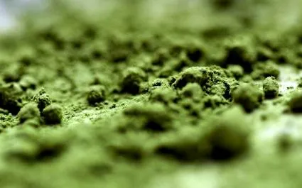 matcha