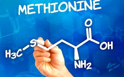 l-metionin namaxime