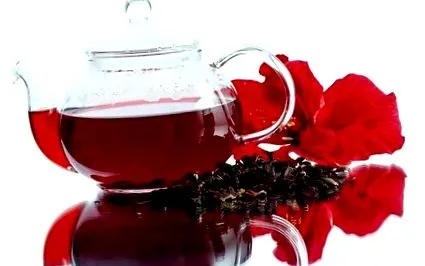 hibiscus hibiscus