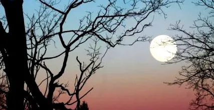 recomandă lunar