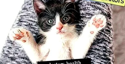 rheumatoid arthritisben