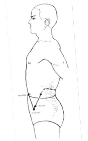 meridianul