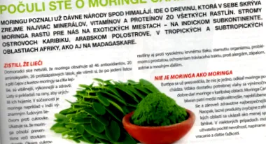 moringe 112015