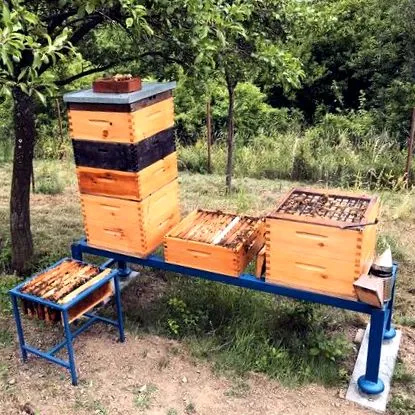 пчеларка