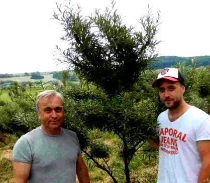 отглеждат