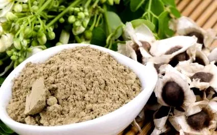 moringa moringa