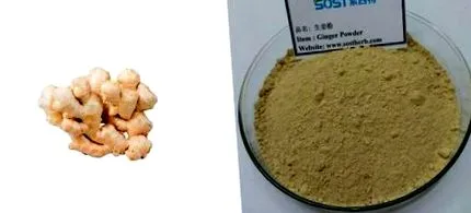 pulbere bună