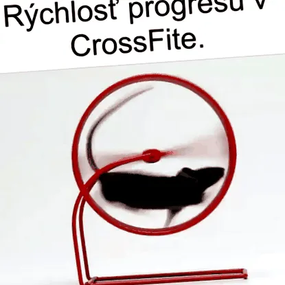 învăța învăța