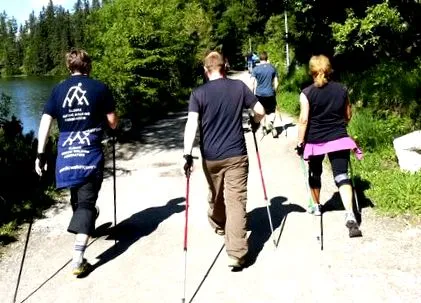 nordic scăderea
