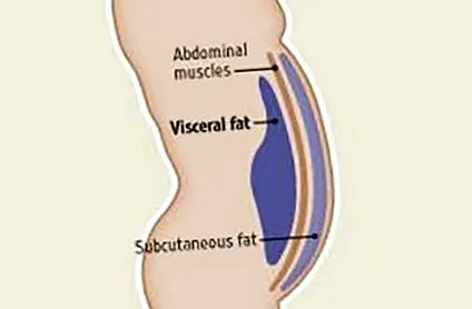 vitabox