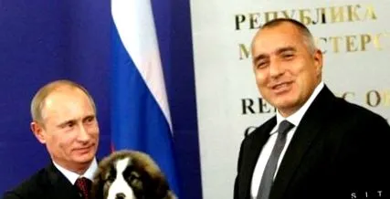 declarații