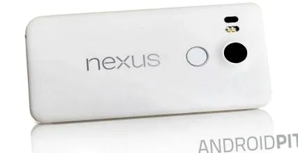 nexus