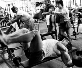 arnold arnold