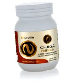 chaga