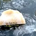вареники компири