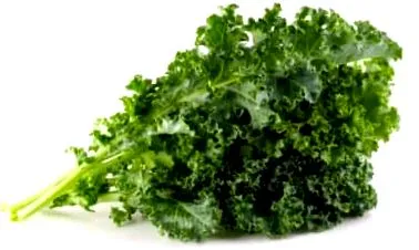 ellenjavallatok