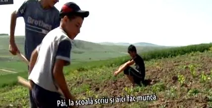 секој секој