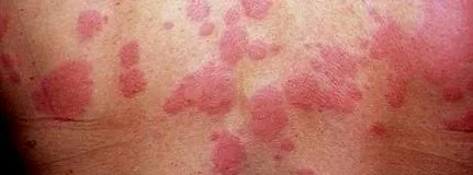 laurusmedical