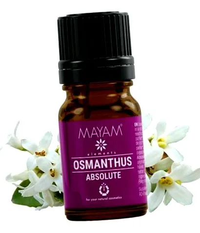 fragrans