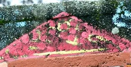 polnišová petra