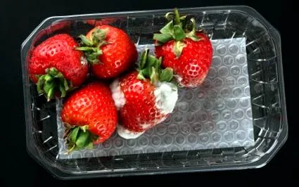 може атакува