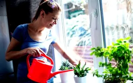 plantelor iarna