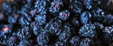 antioxidantul