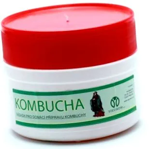 stevik kombucha