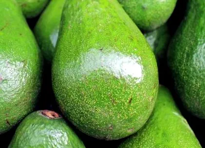 avocado