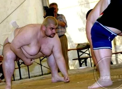 sumo