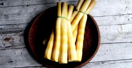 lăstarii lăstarii