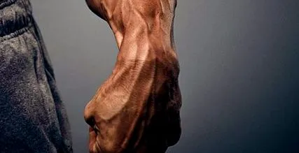 unice exerciții