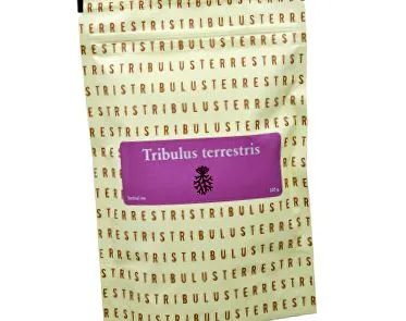 terrestris terrestris