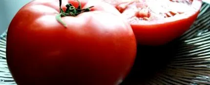 legume cancerului